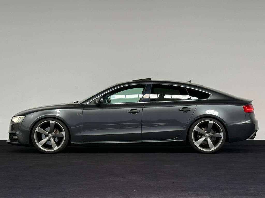54336735-2.jpg